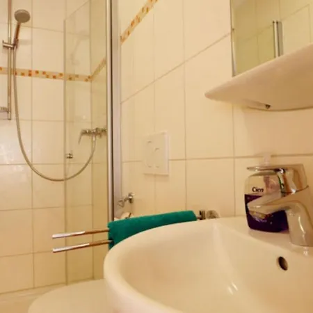 Rose Auf Hof Stallegg *